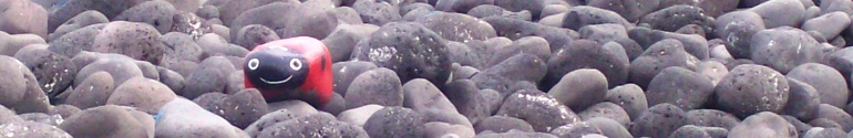 header-5-soluzioni-per-crescere-coccinella (50K)